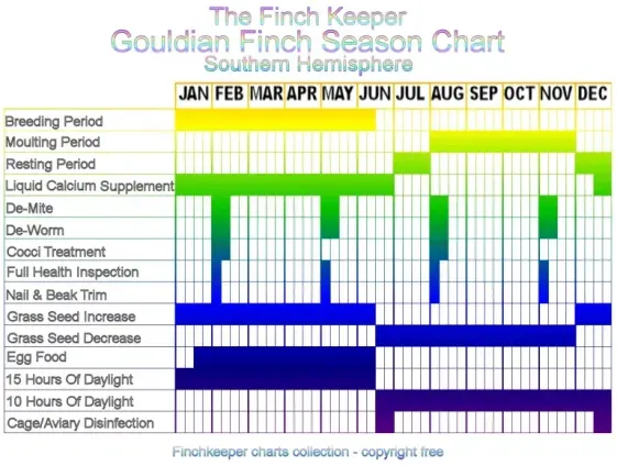 Gouldian Finch season chart for the southern hemisphere