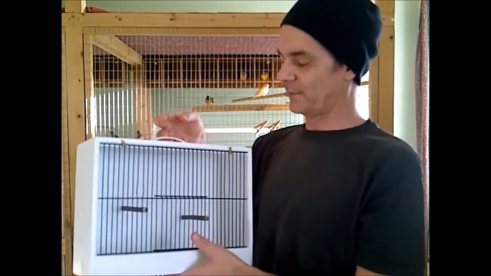 A simple but effective travel cage to bring home a new bird before being placed in quarantine