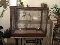 A small cage ideal for transporting birds, or to be used as quarantine