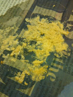 Stool With Excessive Polyuria, Typically Known as Scrambled Egg Stool