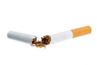 Tobacco and cigarettes, all parts are highly toxic
